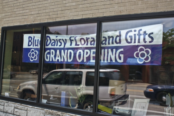 Blue Daisy Floral and Gifts; Banner
